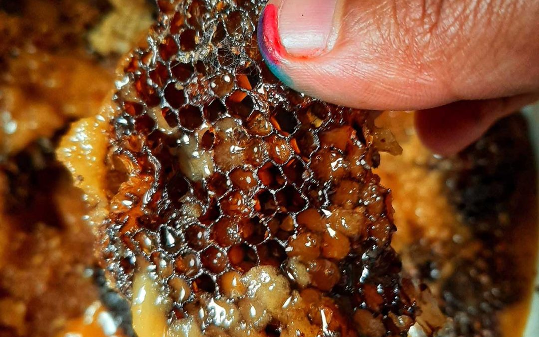 HONEY – The Crystallization Saga